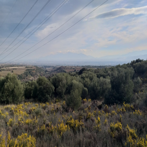 Offres de vente Terrain Corneilla-la-Rivière 66550