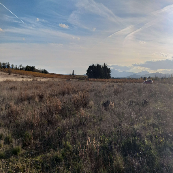 Offres de vente Terrain Ponteilla 66300
