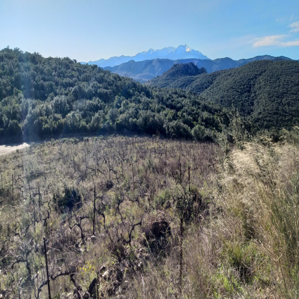 Offres de vente Terrain Rasiguères 66720